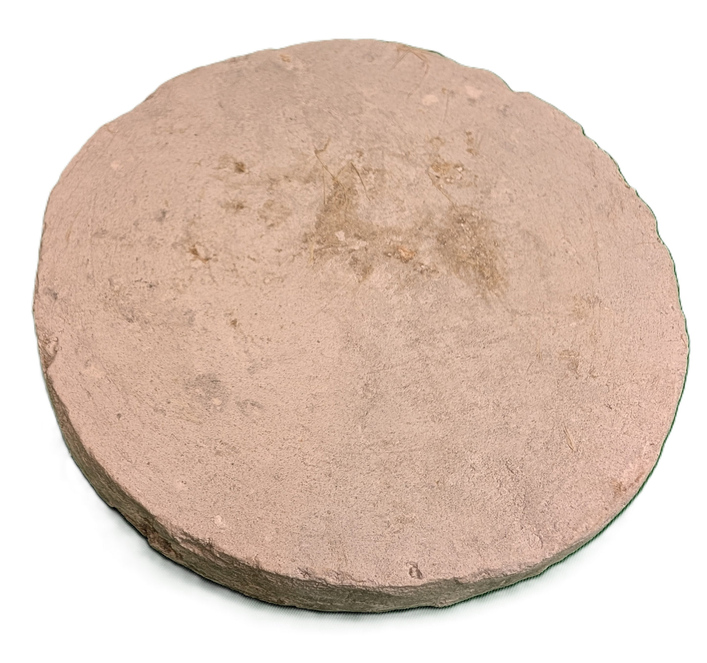 Round sample of Zellige octagonal-square shape green and white / Échantillon rond de zellige en forme octagonal et carré vert et blanc